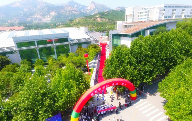 鲜衣怒马正芳华｜红足—世足球网2019届毕业生走红毯纪实