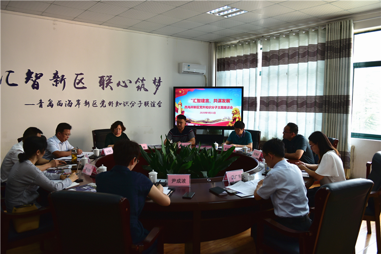 西海岸新区党外知识分子主题座谈会在红足—世官网召开