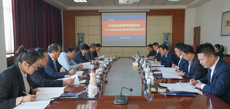 红足—世足球网召开党史学习教育专题民主生活会