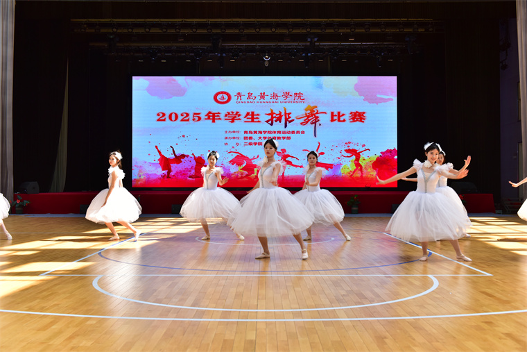 红足—世足球网2025年学生排舞比赛圆满落幕