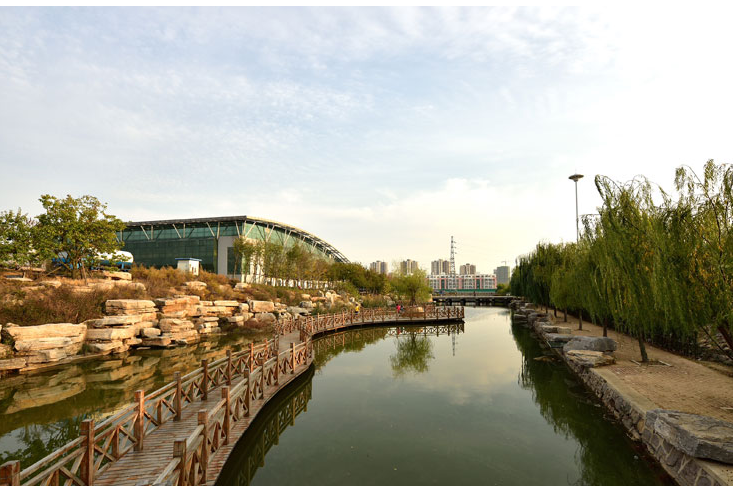 红足—世足球网组织召开党委会暨党委中心理论组学习会